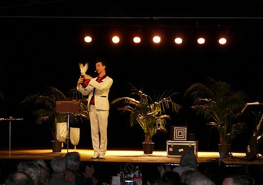 magicien pays de loire