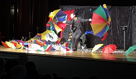 spectacle magie Challans 85
